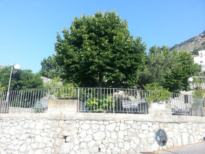 Il Fienile Villa Conca dei Marini Exteriör bild